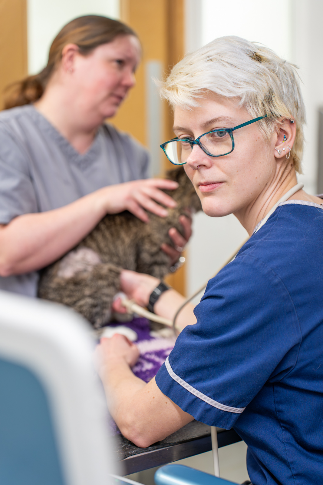 Oak House Veterinary Centre (Web) 068