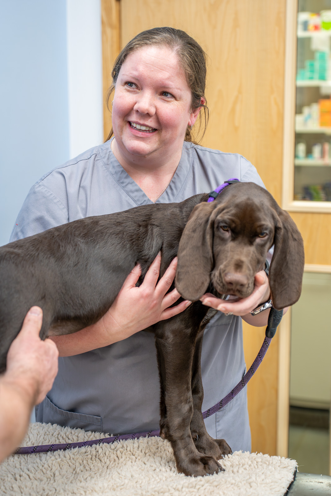 Oak House Veterinary Centre (Web) 107